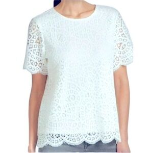 NWT Philosophy White Eyelet Blouse Size XL Short Sleeve Round Neck Top